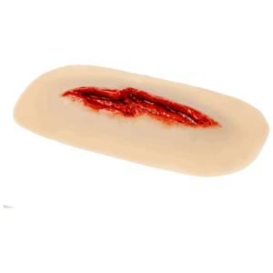 TraumaSim Self-Adhesive Laceration Jagged